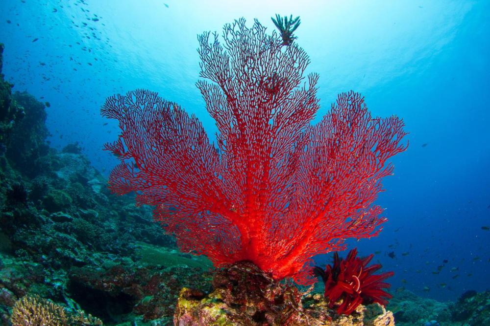 Adani Ksamil Exteriér fotografie